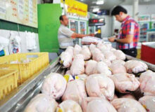 قیمت مرغ در بندرعباس زیر نرخ مصوب