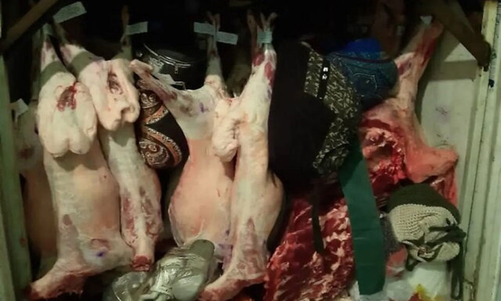 عاملان توزیع گوشت‌های فاسد در هرمزگان دستگیر شدند