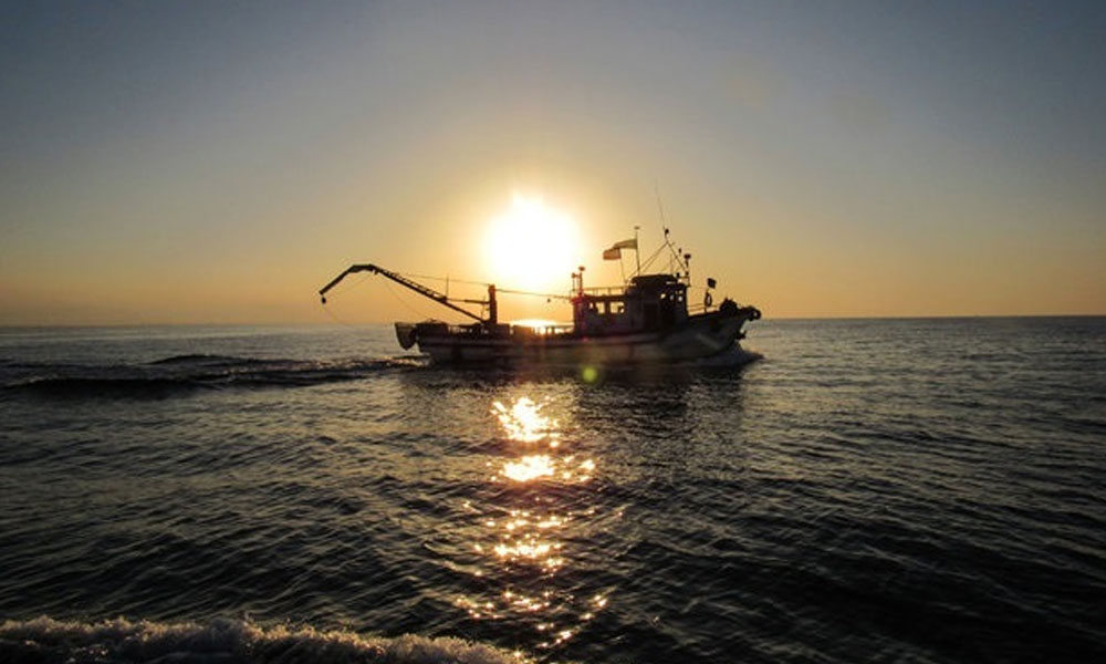 تشکیل « ستاد اجرایی دریابست » در شیلات هرمزگان