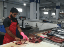 روایت «دریا» از موش و سوسک تا گرانی ماهی در بازار ماهی فروشان