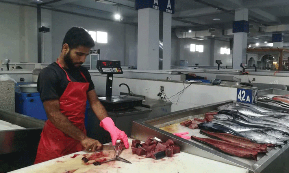 روایت «دریا» از موش و سوسک تا گرانی ماهی در بازار ماهی فروشان