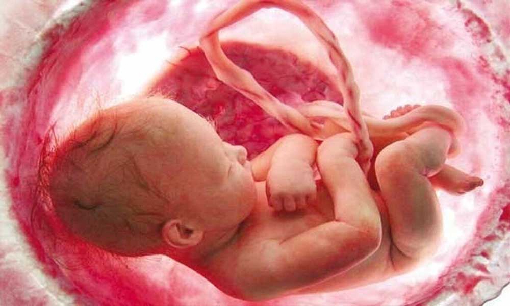 آیا غربالگری جنین عملا غیرممکن شد؟