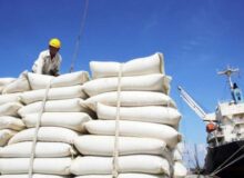 ۷۶ هزار تُن برنج دپو شده  در بندر شهیدرجایی در حال ترخیص است
