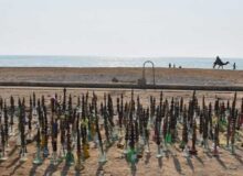 اجرای طرح ضربتی جمع آوری قلیان ها در ساحل بندرعباس