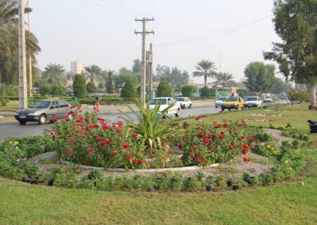 کمبود سرانه فضای سبز و عواقب آن