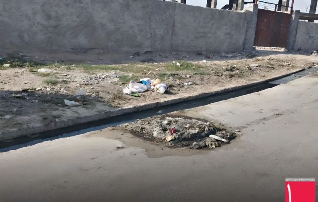 خطر پشه آئدس در فاضلاب روان نخل پیرمرد بندرعباس