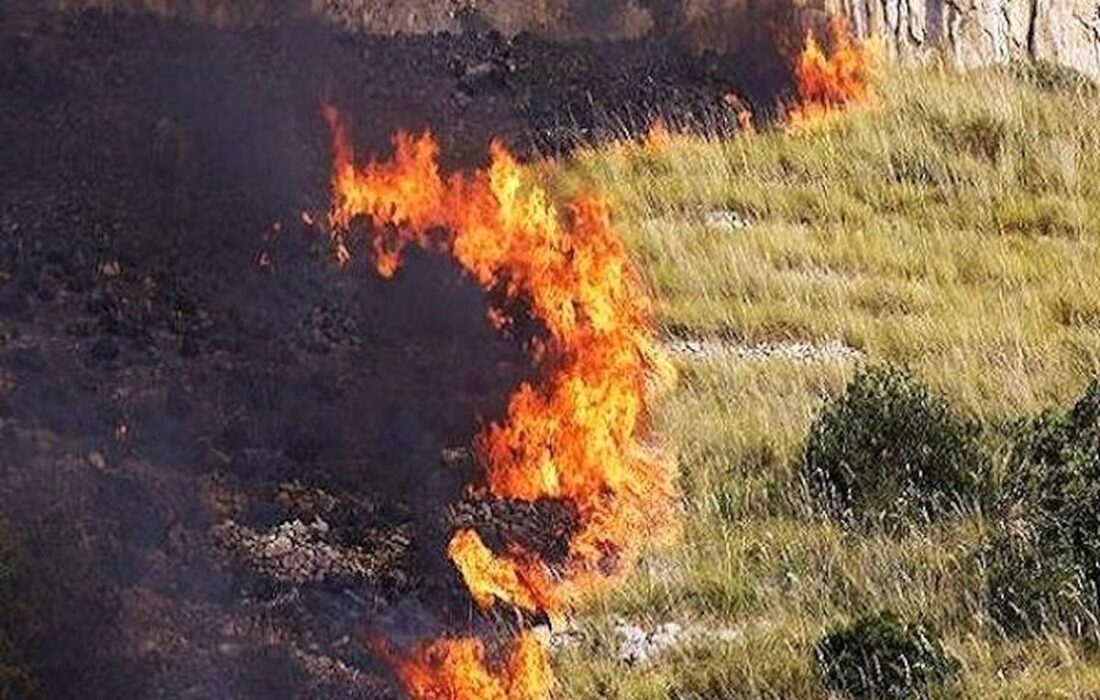 سهل‌انگاری انسان‌ها آتشی به جان طبیعت