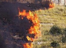 سهل‌انگاری انسان‌ها آتشی به جان طبیعت