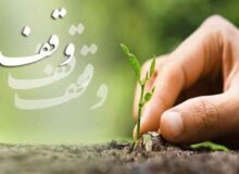 وقف قرآنی و مهدویت، نیاز امروز جامعه