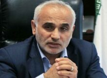 گونه جنوبی پشه آئدس تهاجمی تر است