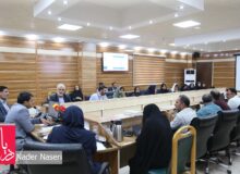 نشست خبری مدیرکل فنی و حرفه ای هرمزگان
