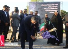 آغاز عملیات اجرایی ساخت پل ماشین رو، خور شیلات بندرعباس