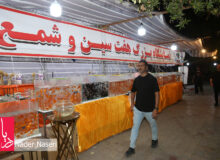 حال وهوای نوروز با ماهی های قرمز