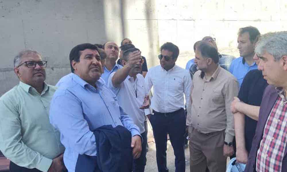 نقش کلیدی نیروگاه خلیج فارس در شبکه برق کشور
