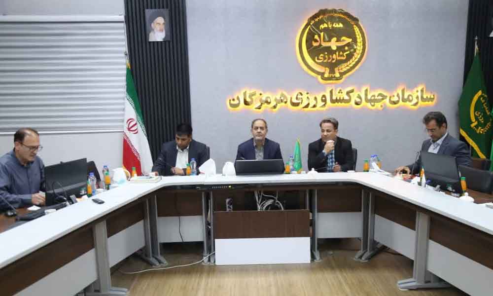 ضرورت راه اندازی پایانه صادراتی  و صنایع تبدیلی و تکمیلی در هرمزگان
