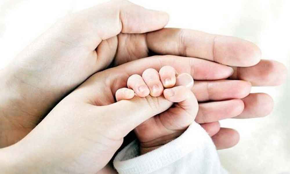 بندرعباس در بحران جمعیتی آمار تولد در سراشیبی