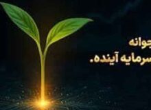 سرمایه‌گذاری حلال و مطمئن با حلال کسبینه – راهی امن برای رشد سرمایه شما