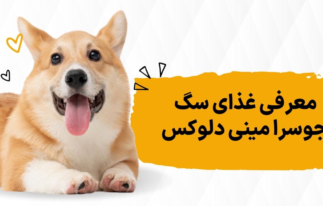 ۸ اتفاقی که بعد از خوردن غذای جوسرا مینی دلوکس برای سگم افتاد!