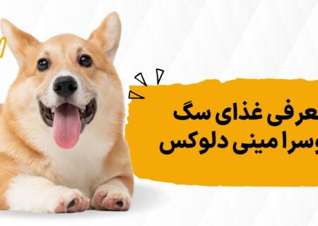 ۸ اتفاقی که بعد از خوردن غذای جوسرا مینی دلوکس برای سگم افتاد!
