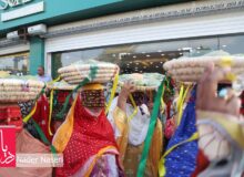 جشنواره انبه و یاسمین گل میناب