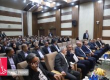 نشست مدیرعامل بانک سپه با روسای شعب منطقه هرمزگان