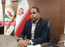 افزايش بيمه‌شدگان زن در هرمزگان با اجراي طرح حمايت از خانواده و جواني جمعيت