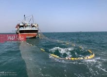 بحران ذخاير آبزيان تجاري در هرمزگان