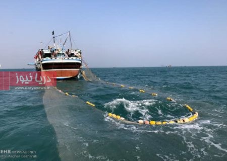 بحران ذخاير آبزيان تجاري در هرمزگان