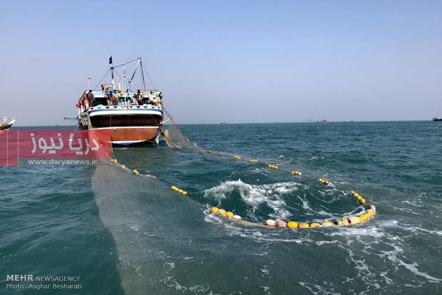 بحران ذخاير آبزيان تجاري در هرمزگان
