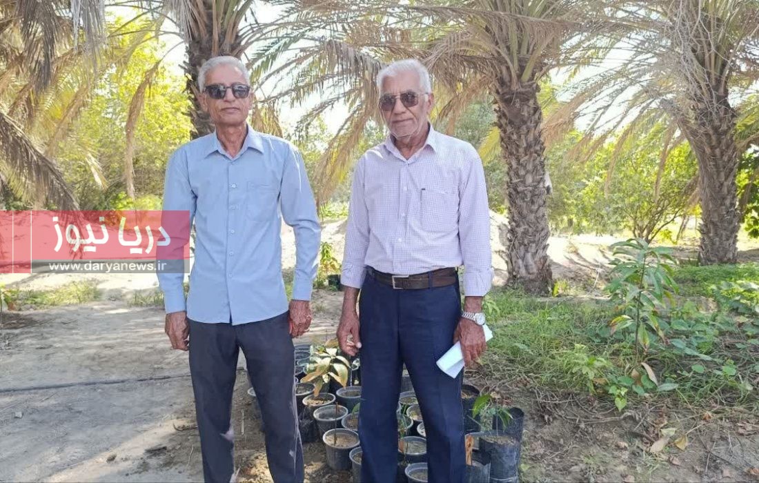 وقتي گرازها جاي کشاورزان محصول برداشت مي‌کنند!