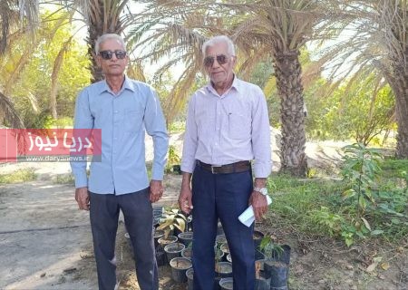 وقتي گرازها جاي کشاورزان محصول برداشت مي‌کنند!