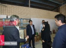 بازدید فاطمه جراره نماینده مردم در مجلس شورای اسلامی از فنی حرفه ای