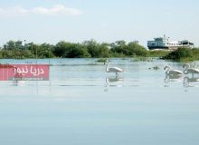 بندر خمیر؛ نگین تالابی خاورمیانه و افق‌های نوین گردشگری دریایی