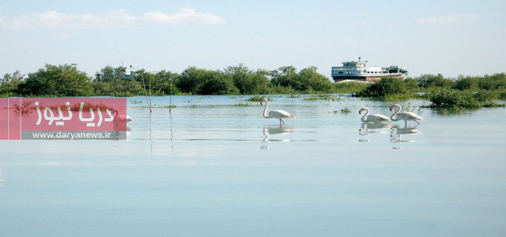 بندر خمیر؛ نگین تالابی خاورمیانه و افق‌های نوین گردشگری دریایی