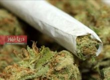 «گل» تفریح نیست؛ لبخندی که بوی ویرانی می دهد