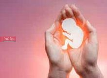 نفس تازه دردل جاسک