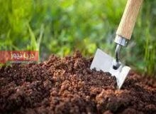 خاک سالم؛ سرمایه‌ای خاموش  برای امنیت غذایی و آینده زمین