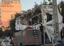 پروبال شان را بچینید