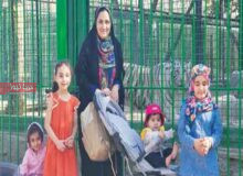 نقش پزشکان در نسل‌آفرینی؛ از هشدار تا امید