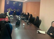 همکاری بهزیستی هرمزگان در اجرای طرح «نفس»