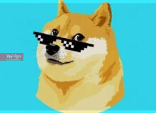 تفاوت دوج کوین (DOGE) با دوج چین (DC) چیست؟