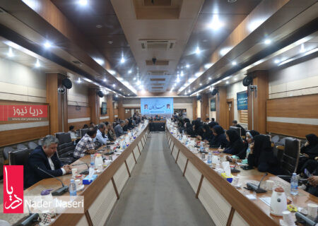 نشست خبری استاندار هرمزگان به مناسبت دهه فجر